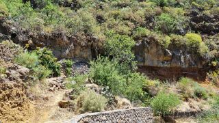 2023-04-GranCan-Guayadeque-075.jpg